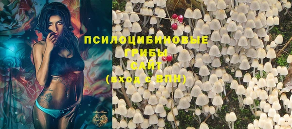 ПСИЛОЦИБИНОВЫЕ ГРИБЫ Нефтекумск
