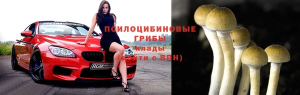 ПСИЛОЦИБИНОВЫЕ ГРИБЫ Нефтекумск